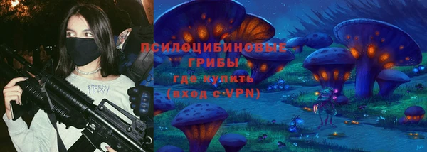 ALPHA PVP Заводоуковск